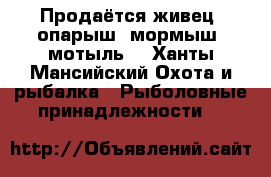 Продаётся живец, опарыш, мормыш, мотыль  - Ханты-Мансийский Охота и рыбалка » Рыболовные принадлежности   